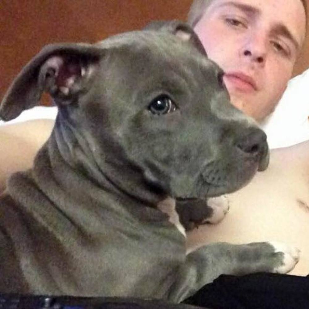 Meet your Posher, Devin